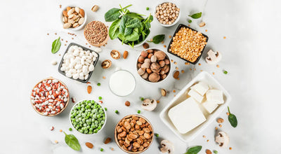 Why You Need Protein For Weight Loss